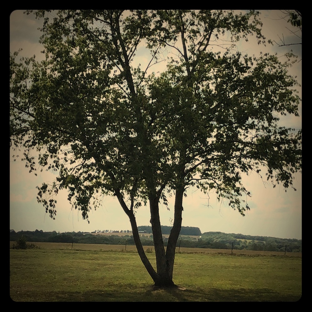 Meet your Posher, Stacy